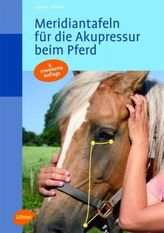 Meridiantafeln für die Akupressur beim Pferd
