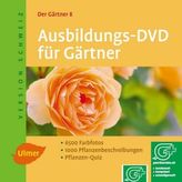 Die Totenbraut, 1 Audio-CD