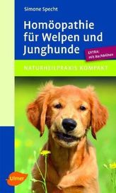 Homöopathie für Welpen und Junghunde