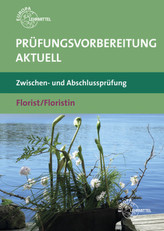 Vorgeschichten zur Gegenwart. Ausgewählte Aufsätze. Bd.5