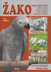 Žako Papoušek šedý
