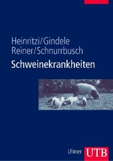 Schweinekrankheiten