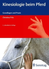 Kinesiologie beim Pferd