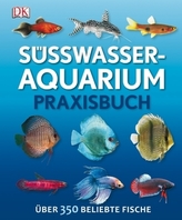 Plädoyer für eine gelebte Mehrsprachigkeit