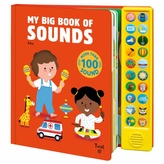  My Big Book of Sounds