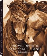 Die Wildpferde von Sable Island