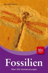 Fossilien