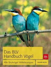 Das BLV Handbuch Vögel