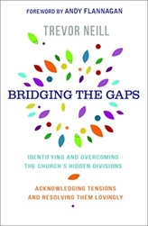  Bridging the Gaps