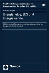 Energienetze, EEG und Energiewende