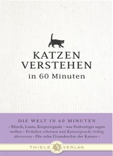 Thud!. Klonk!, englische Ausgabe