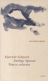 Saccage ce Carnet. Mach dieses Buch fertig, französische Ausgabe