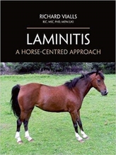  Laminitis