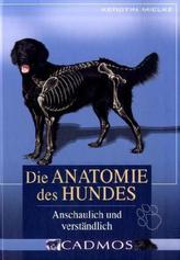 Die Anatomie des Hundes