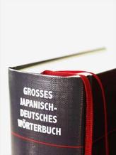 Großes japanisch-deutsches Wörterbuch. Bd.2