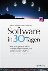 Software in 30 Tagen