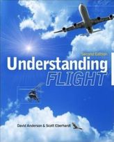 Understanding Flight