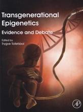 Transgenerational Epigenetics