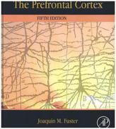 The Prefrontal Cortex