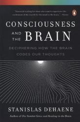 Consciousness and the Brain