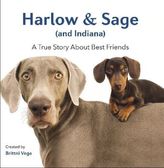 Harlow & Sage (and Indiana)