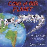 Cows of Our Planet. Alle Kühe dieser Erde, engl. Ausgabe