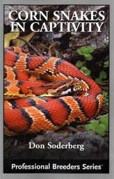 Corn Snakes in Captivity