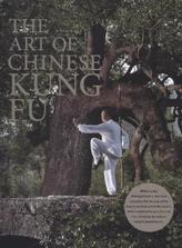 The Art of Chinese Kung Fu