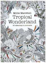 Millie Marotta's Tropical Wonderland