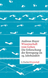 Fit für den Hauptschulabschluss: Mathe