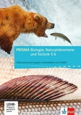 5./6. Schuljahr, Arbeitsblätter