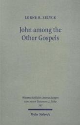 John among the Other Gospels