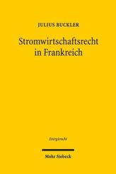 Das Geheimnis der Krähentochter