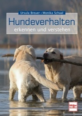 Kinderaugen