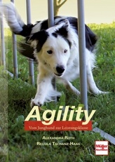 Agility