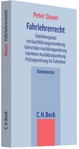Der systemische Lehrer