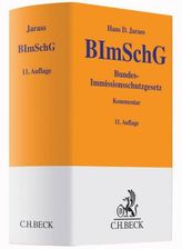 Wie ein Licht im Wind