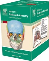 Netter's Flashcards Anatomy