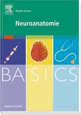 Neuroanatomie