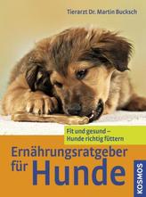 Resilienz-Coaching