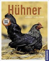 So schaffen Sie Vermögen