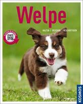 Welpe