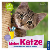 Meine Katze