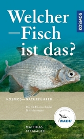 Welcher Fisch ist das?