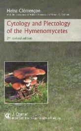 Cytology and Plectology of the Hymenomycetes
