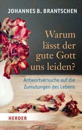 Making Nice. Wunde Punkte, englische Ausgabe