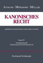 Vermögensrecht, Sanktionsrecht und Prozeßrecht