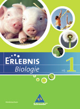 5./6. Schuljahr