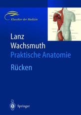 Rücken