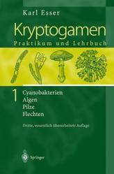 Cyanobakterien Algen Pilze Flechten. Praktikum und Lehrbuch